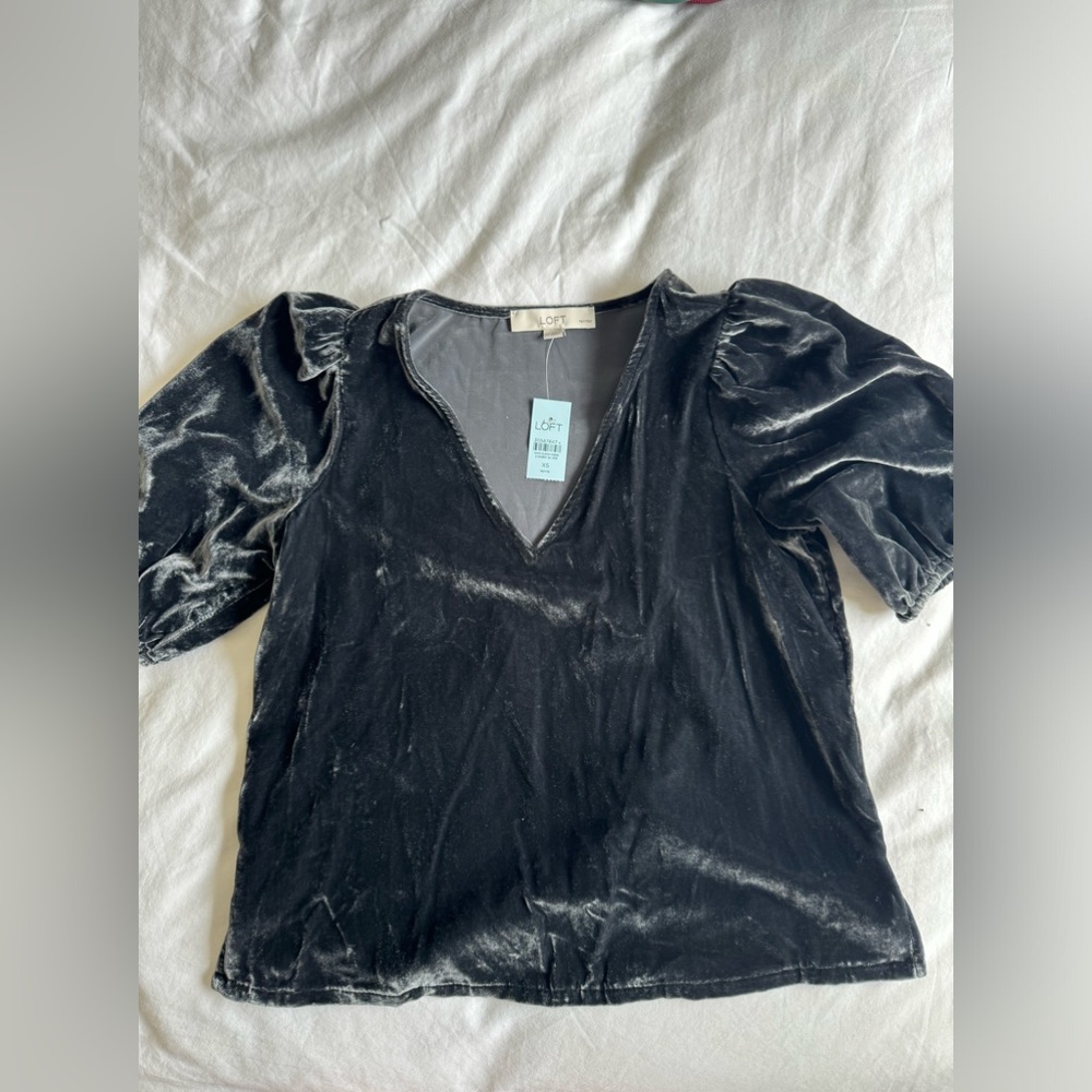 Loft, velvet puffed sleeve top